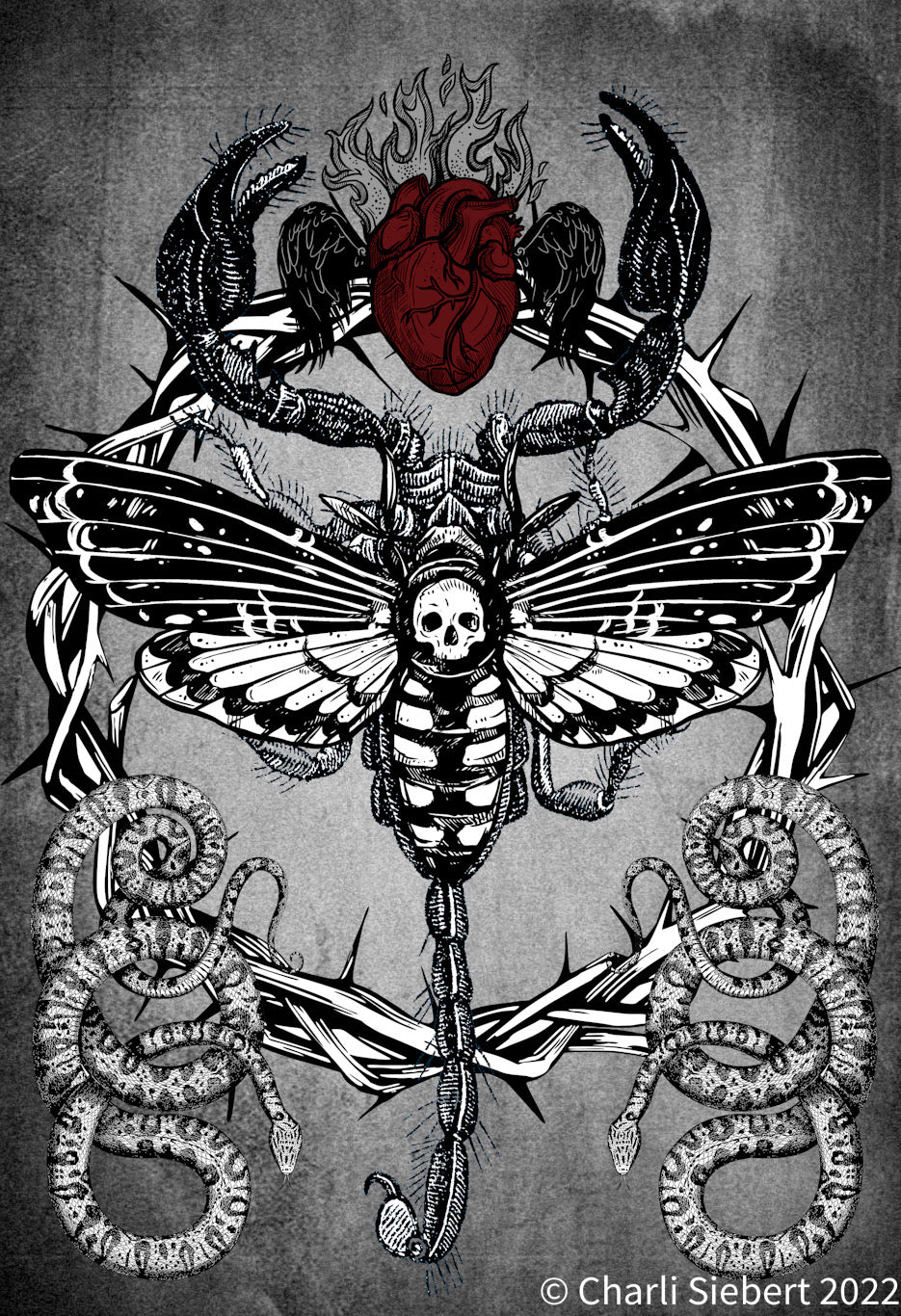 Tirage d’art en édition limitée Scorpion Moth 2