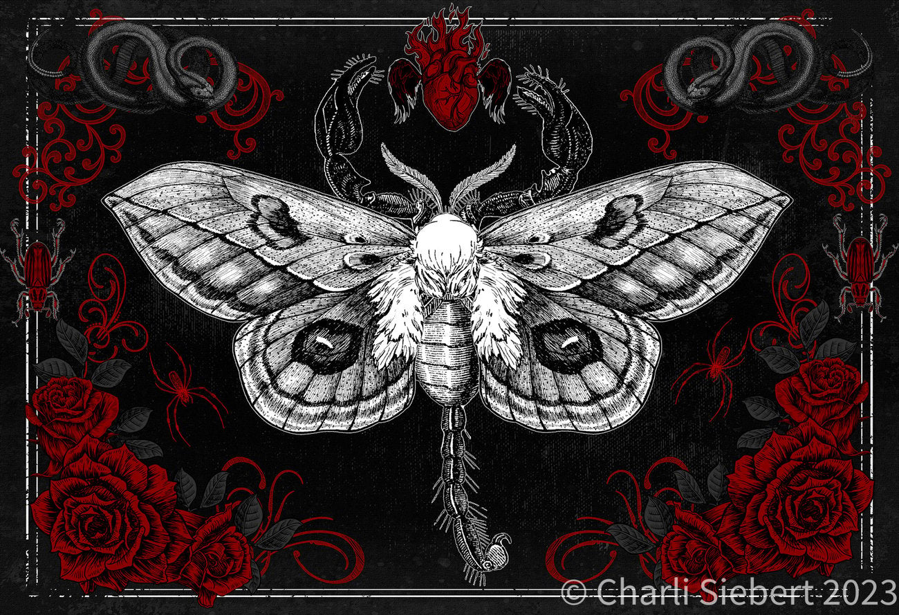 Scorpion Moth 2 - Unimaginative By Charli Siebert