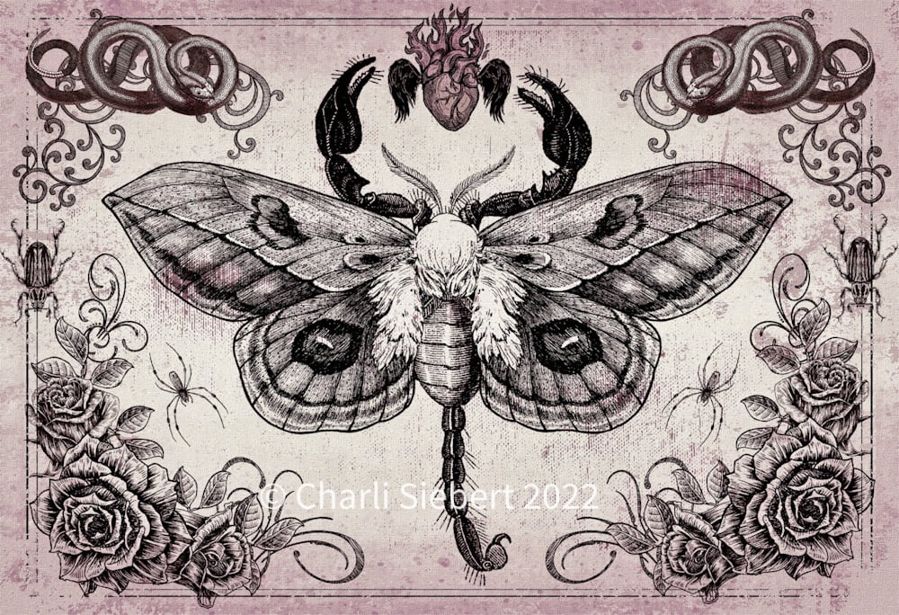 Scorpion Moth 1 - Unimaginative By Charli Siebert